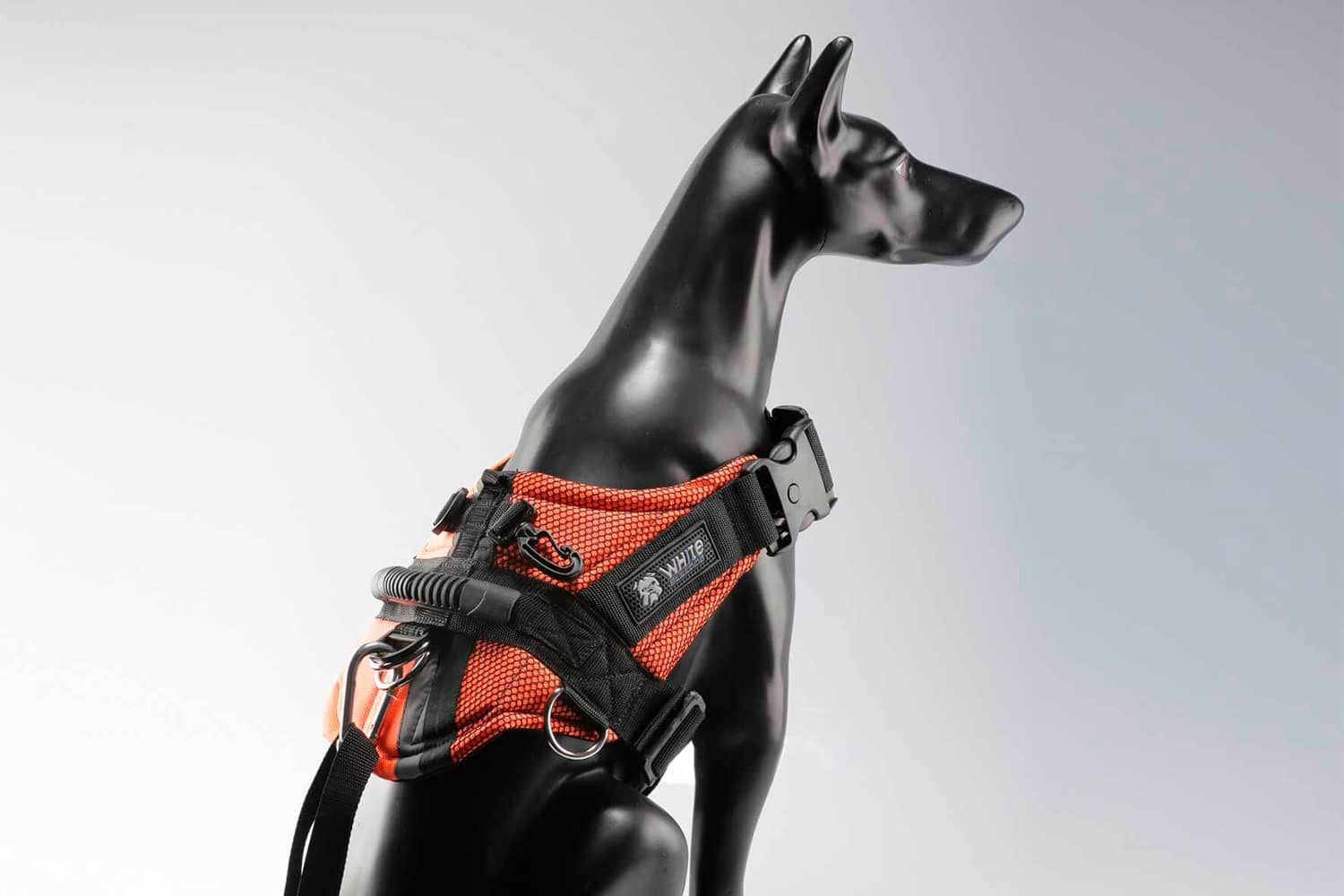 Estrategias para potenciar tu imagen de marca con fotografía